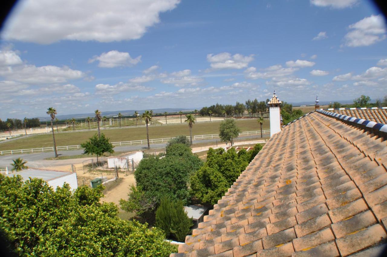 הוילה סביליה Cortijo La Amazona מראה חיצוני תמונה