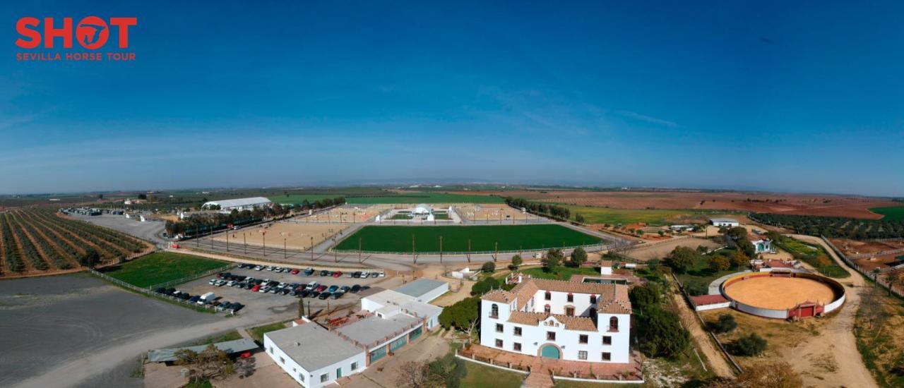 הוילה סביליה Cortijo La Amazona מראה חיצוני תמונה